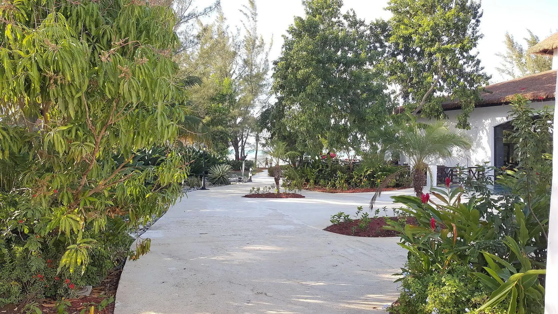 Hotel Casa Marina Montego Bay At Seawind Giamaica